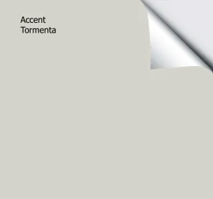 Accent Tormenta