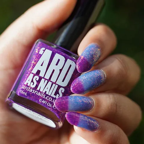 Ard As Nails - Feathered Friends - Costas Hummingbird (Thermal)