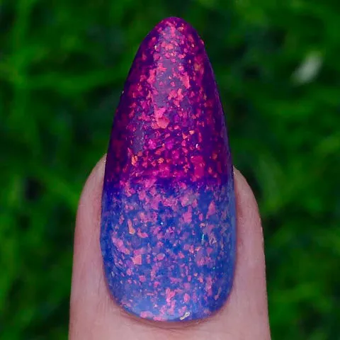 Ard As Nails - Feathered Friends - Costas Hummingbird (Thermal)