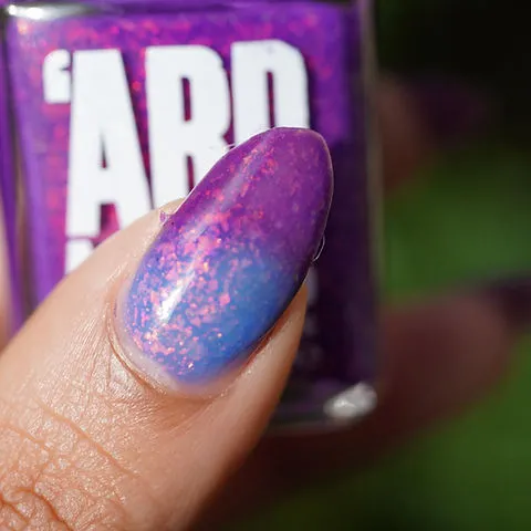 Ard As Nails - Feathered Friends - Costas Hummingbird (Thermal)
