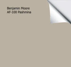 Benjamin Moore Pashmina