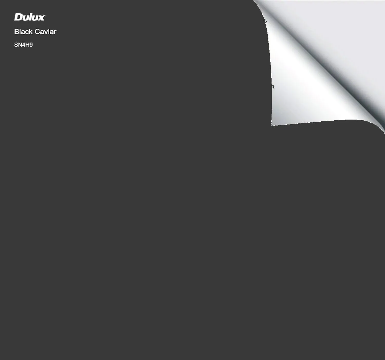Dulux Black Caviar