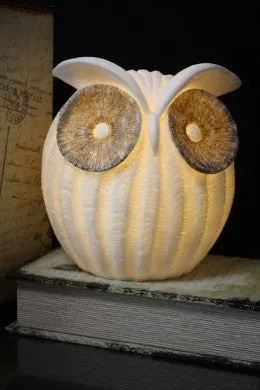 Owl Lamp