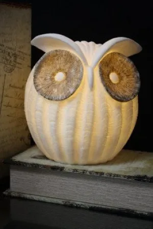 Owl Lamp