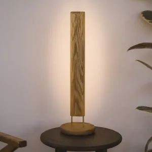 Portable Elevate Bedside Lamp Rechargable