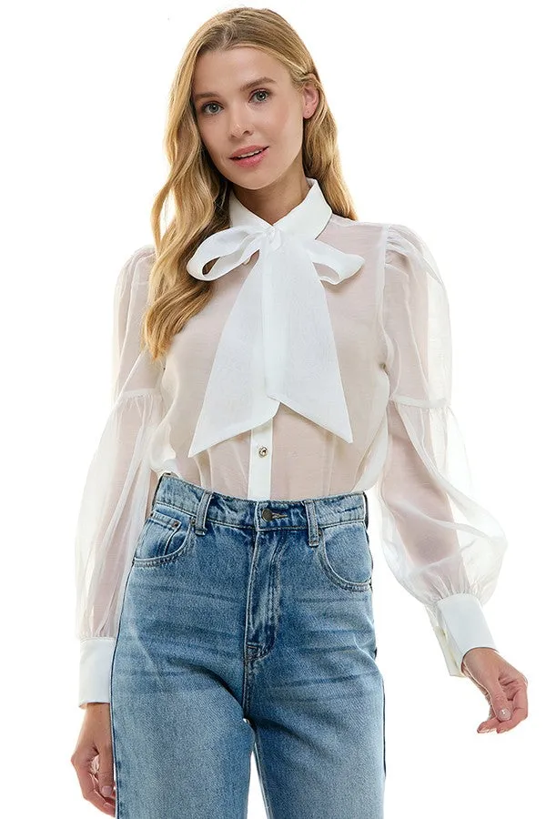 Sheer Madness Blouse (More Colors)