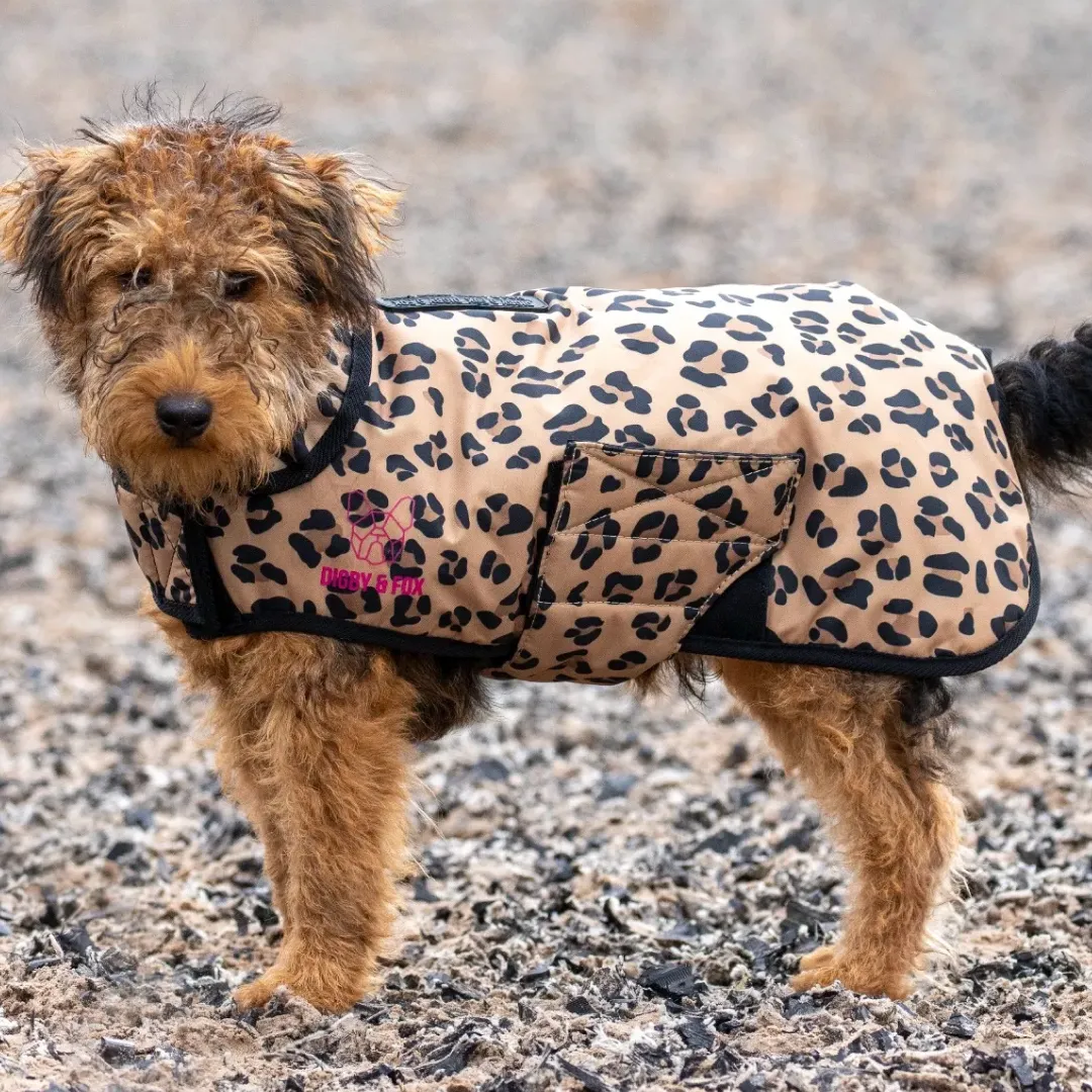 Shires Digby & Fox Leopard Print Dog Coat