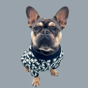 Shop Best Dogior Sweater For Dogs