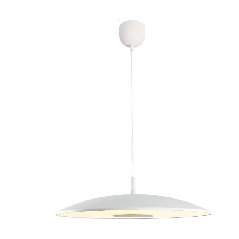 Sleek Metallic Pendant Light