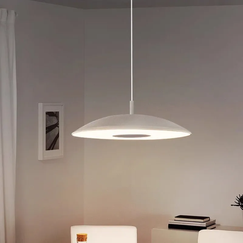 Sleek Metallic Pendant Light