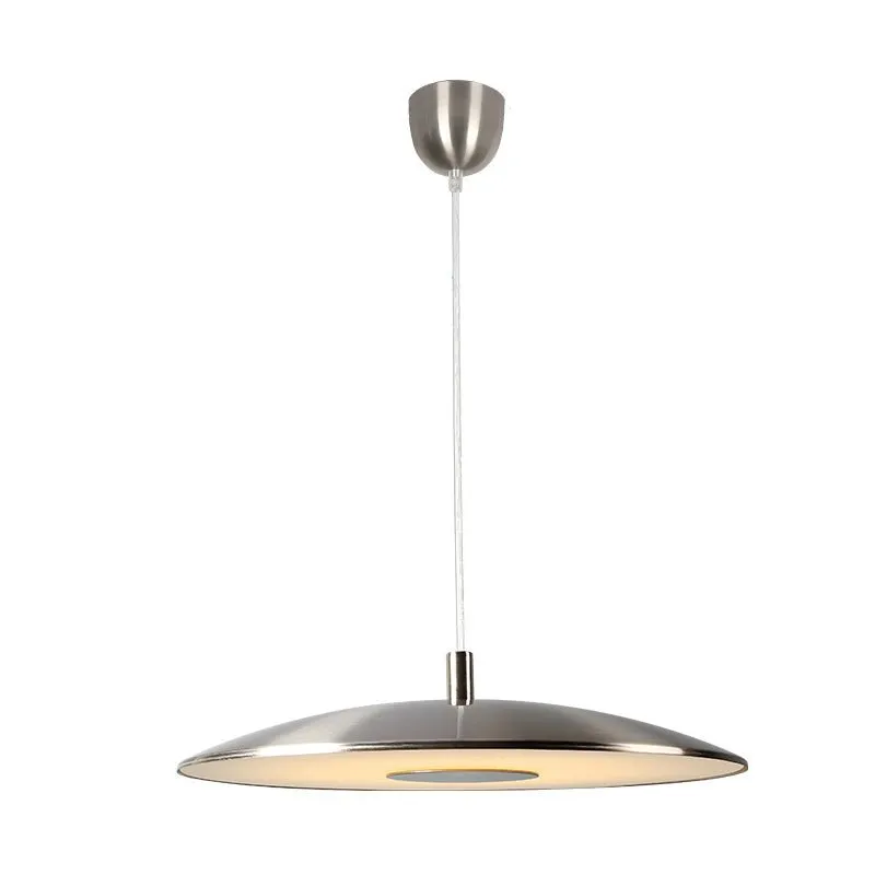 Sleek Metallic Pendant Light