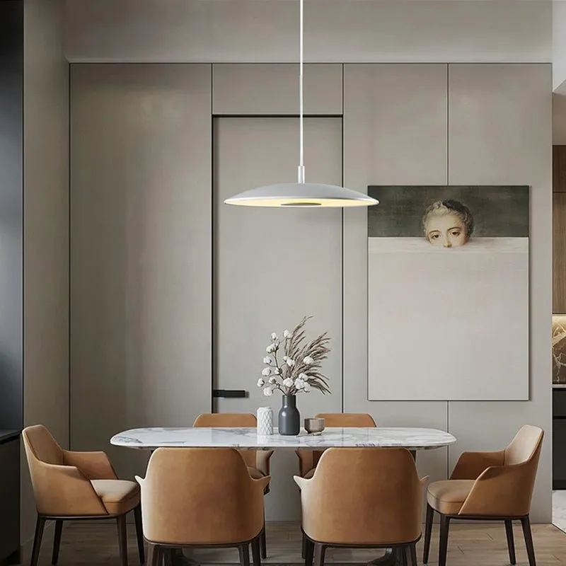 Sleek Metallic Pendant Light