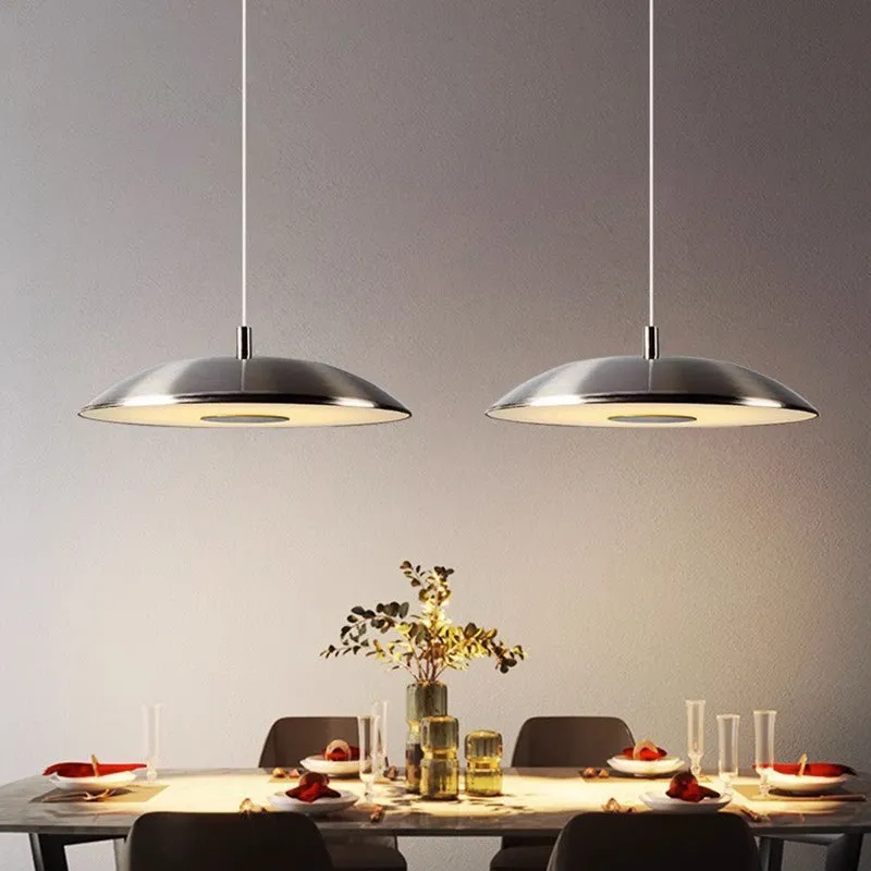 Sleek Metallic Pendant Light