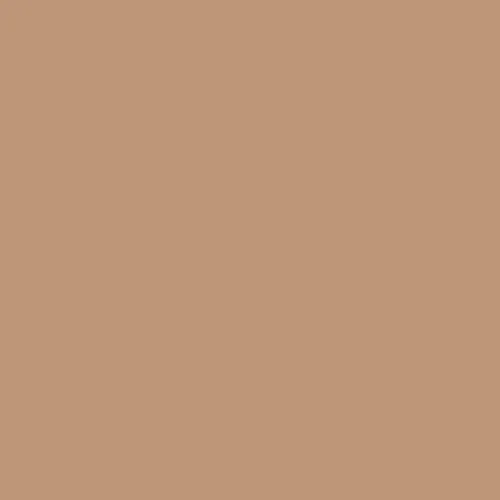 Warm Hearth DE 6110